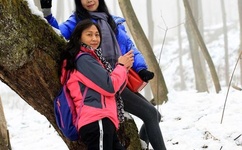 在英语课上强插英语课代表作文